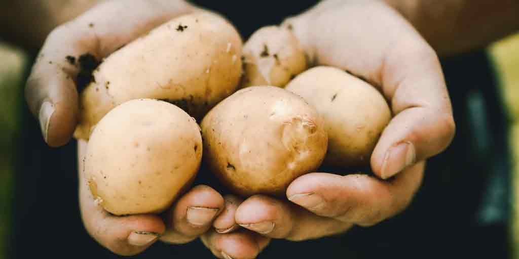 skincare benefits potatoes